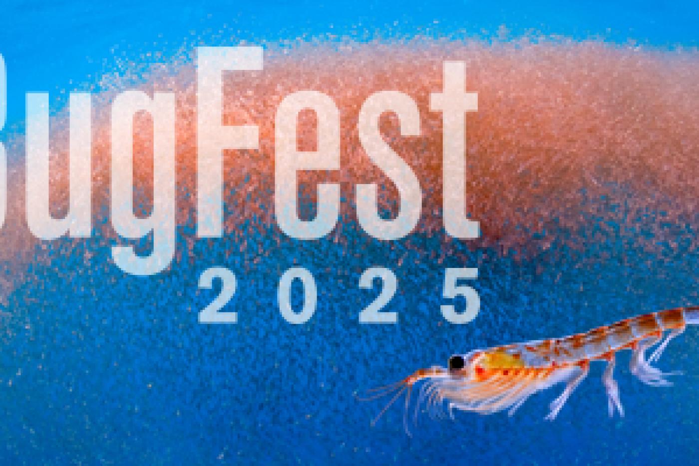 BugFest 2025