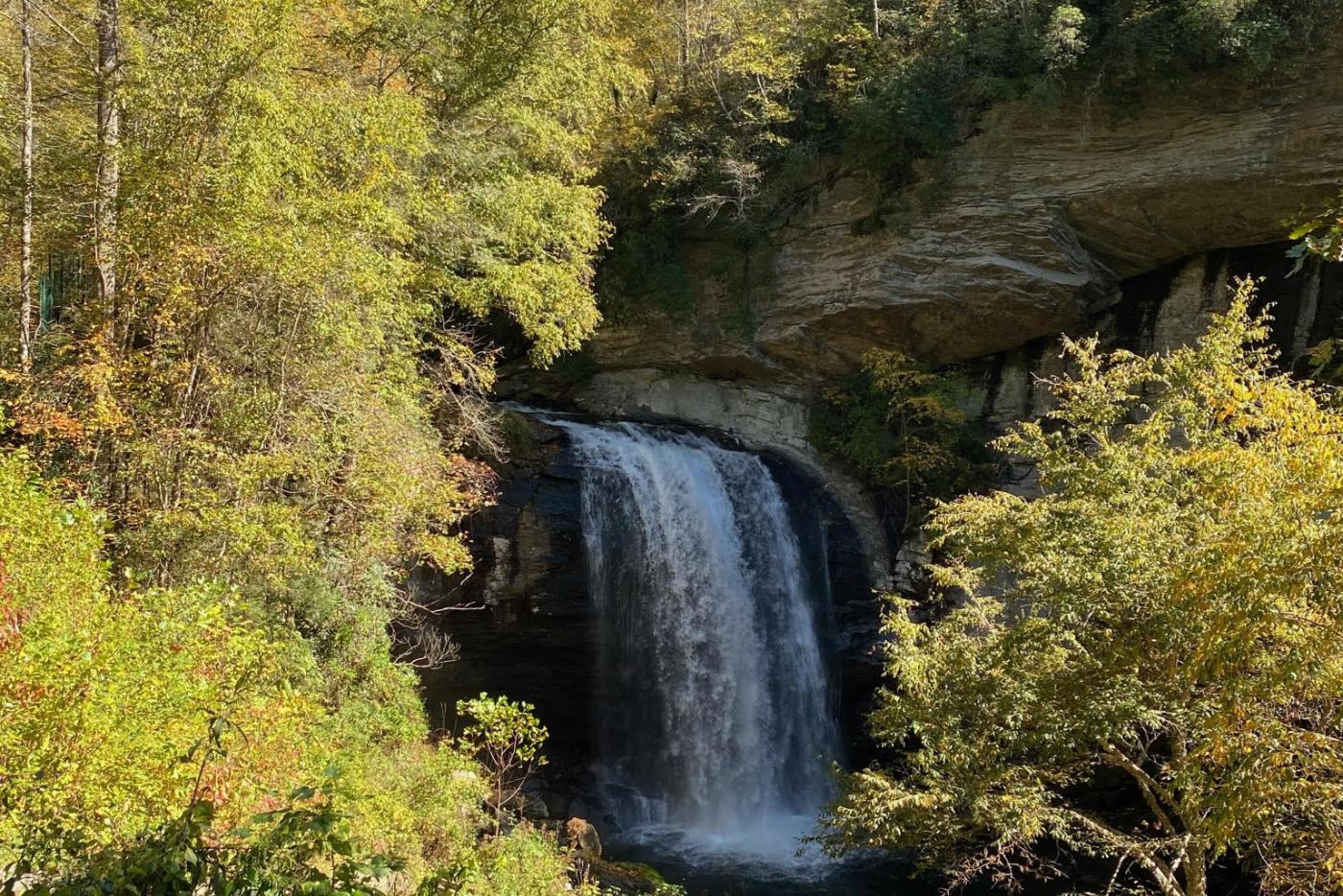 A waterfall cascades over rock into a pool with green trees surrounding it
