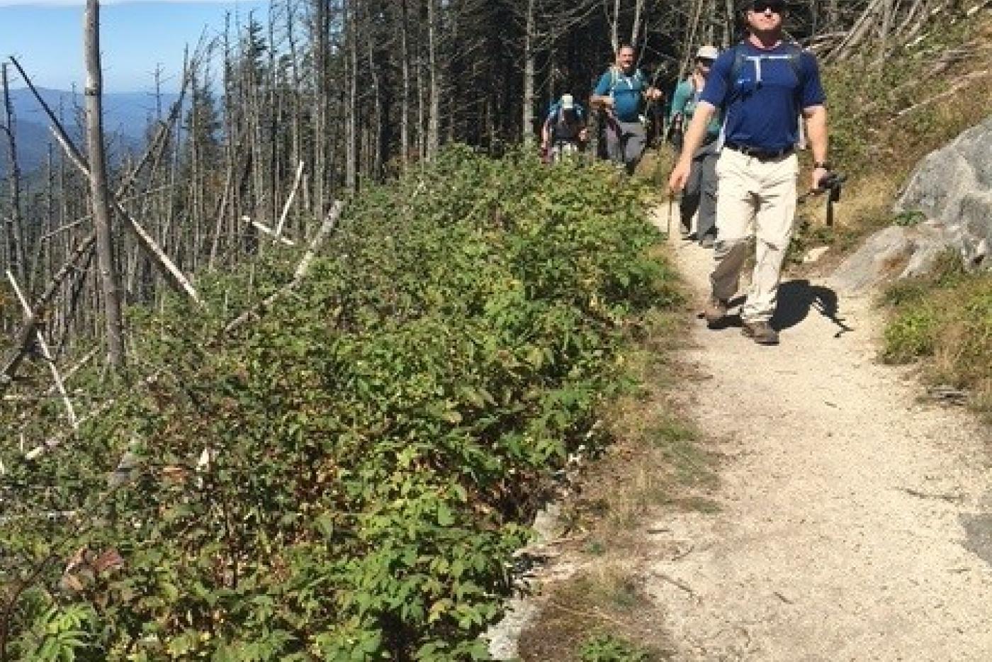 A group of hikers hike on the Black Mountain Crest Trail 