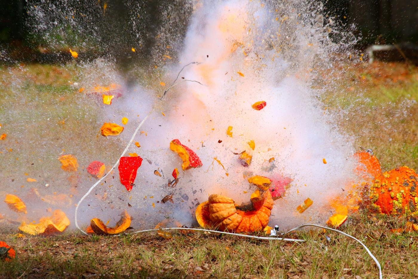 The Great Pumpkin Blowout returns to Brunswick Town/Fort Anderson State Historic Site Nov. 1.