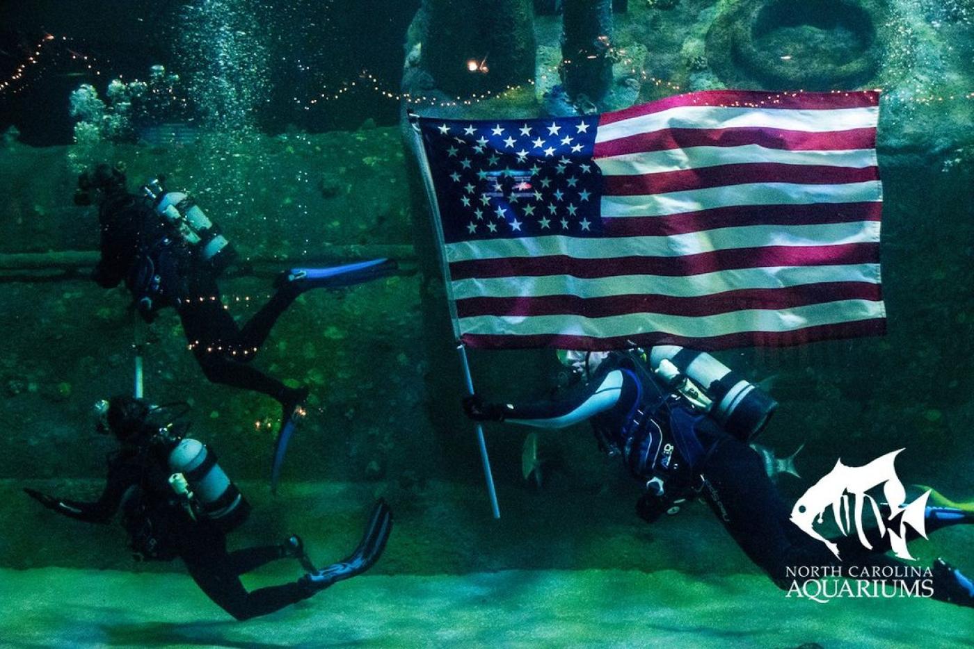 Underwater Salute to the Military Visitors