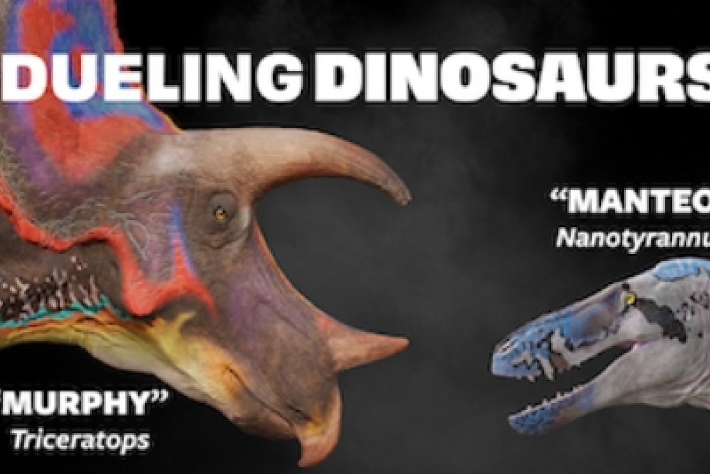 Meet the Dueling Dinosaurs — Murphy and Manteo