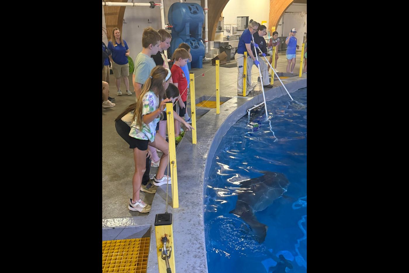 North Carolina Aquarium on Roanoke Island Splashes Into Summer with Fresh, Fun-Filled Camps for Kids