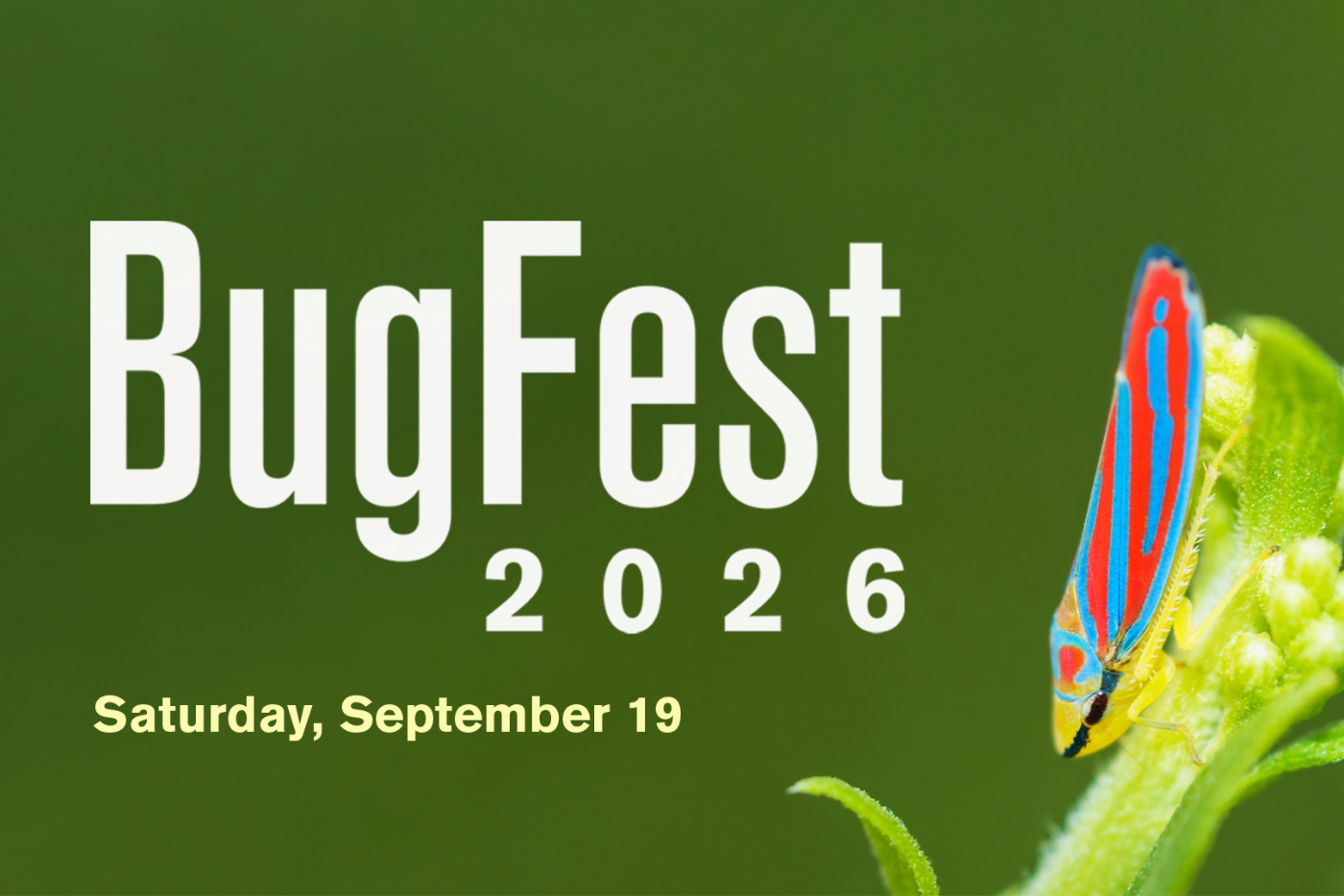 BugFest, 30th Anniversary Edition, Features Hoppers on Sept. 19