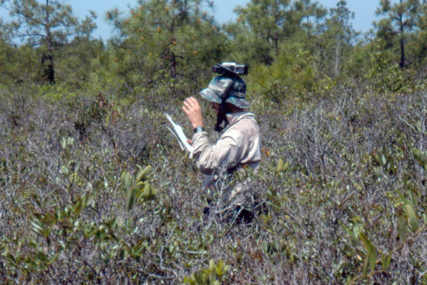 Surveying and documenting natural communities has been the mission of the North Carolina Natural Heritage Program since it was established in 1976.