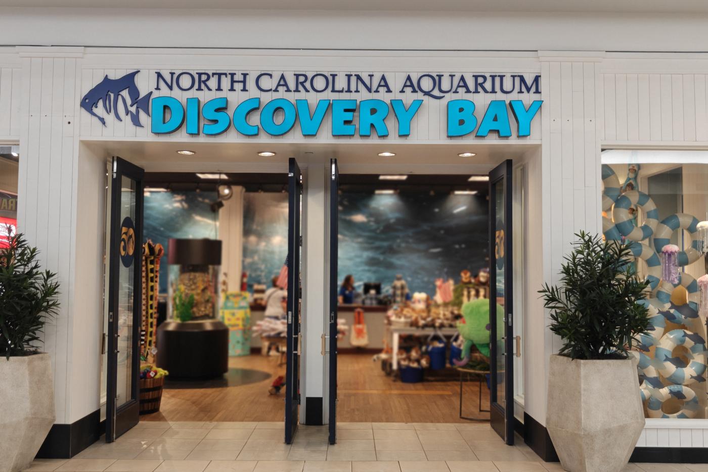 The North Carolina Aquarium Discovery Bay is set to hold its 50th Birthday Splash on Sunday Nov. 15.  Discovery Bay is located in the JC Penney wing of Independence Mall.