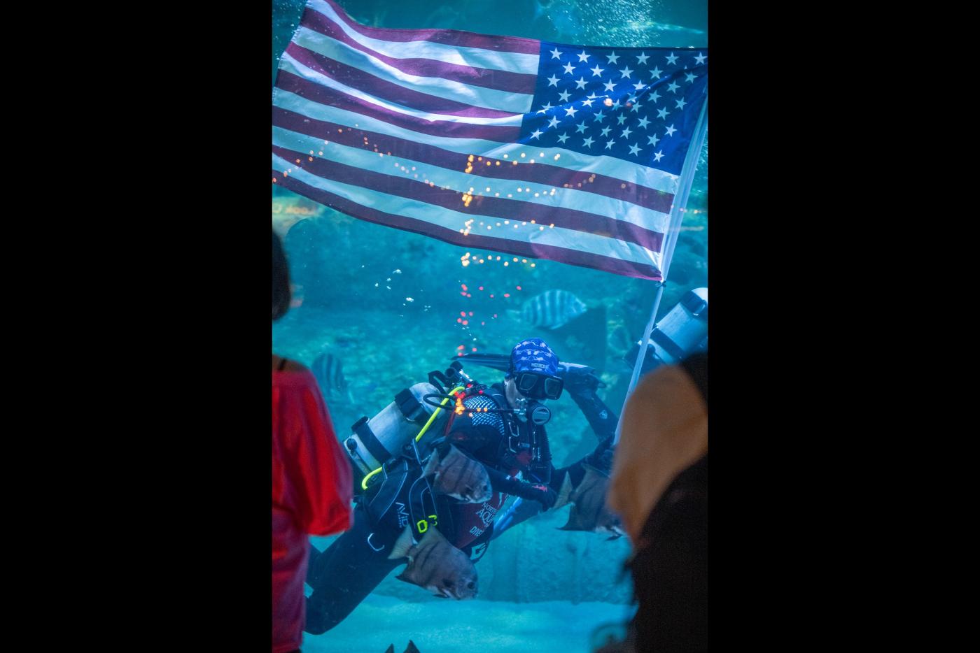 North Carolina Aquariums Welcome Military Families with Complimentary Admission