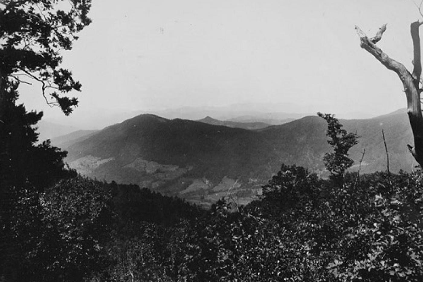 A black and white photo of Mount Mitchell.