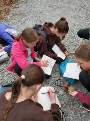 students working in journals at Elk Knob State Park
