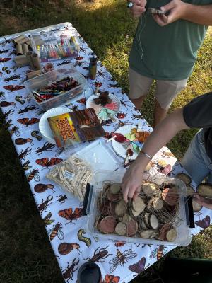 children work on a hands on nature activity
