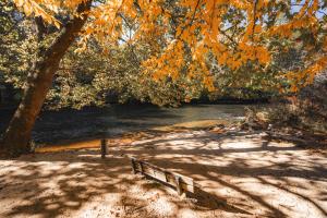 New River state park