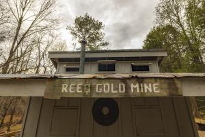 Reed Gold Mine