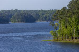 Jordan Lake State recreation area