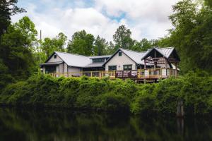 dismal swamp state park