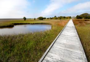 Fort Fisher state recreation area