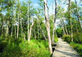 Haw River State Park