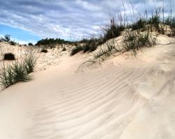 Jockey's Ridge State Park