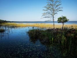 Lake Waccamaw State Park