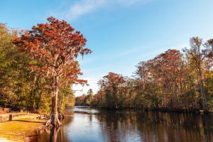 Lumber river state park