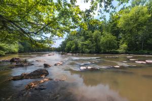 Mayo River state park