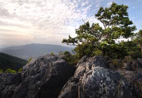 Mount Jefferson State Natural area