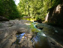 William B. Umstead State Park