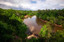 Cliffs of the Neuse state park