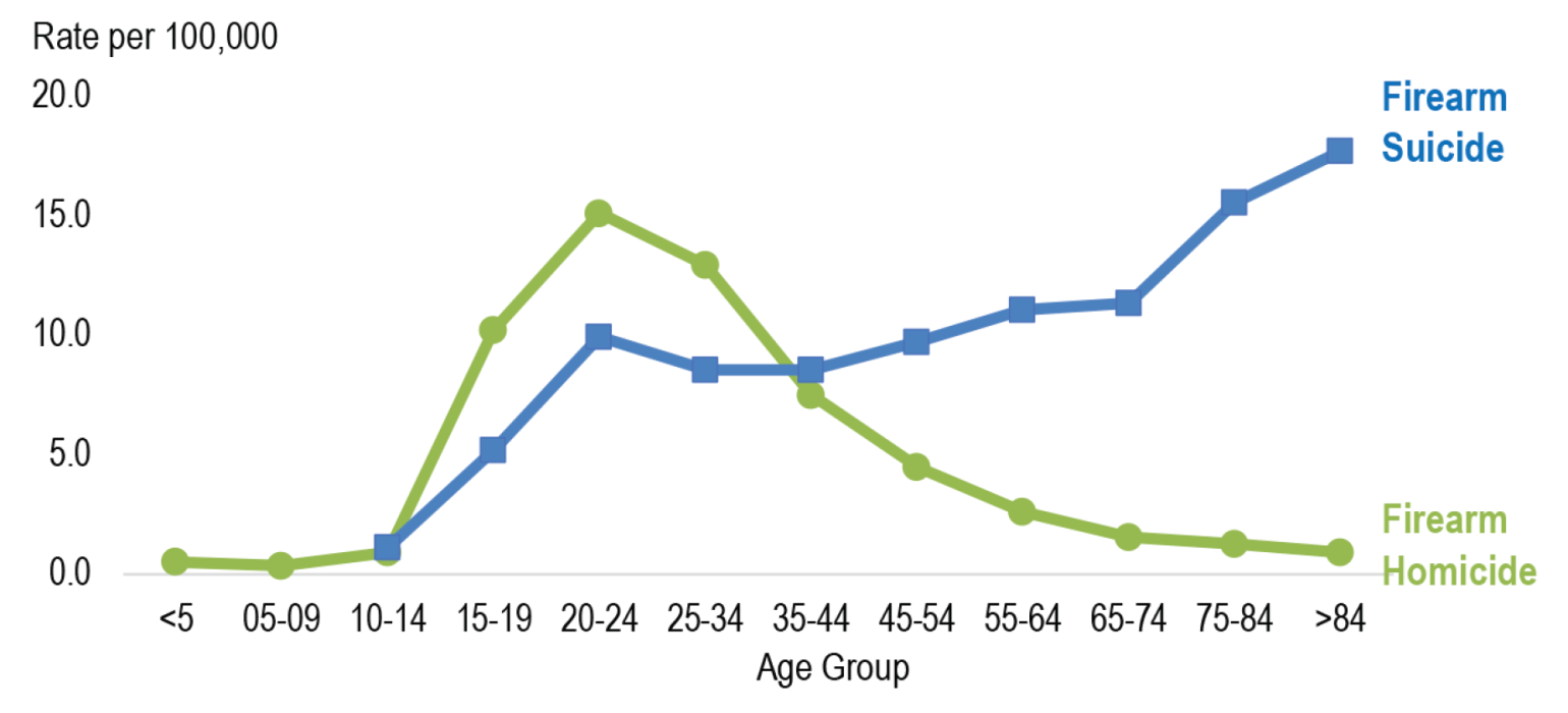 Line graphs showing firearm deaths by manner (suicide or homicide) and age group.