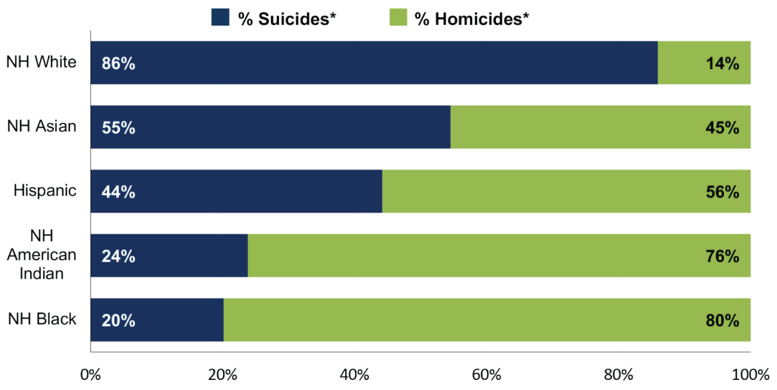 The figure shows the proportion of homicide and suicide deaths by race and ethnicity, which accounted for 96% of all firearm injuries in NC in 2023.