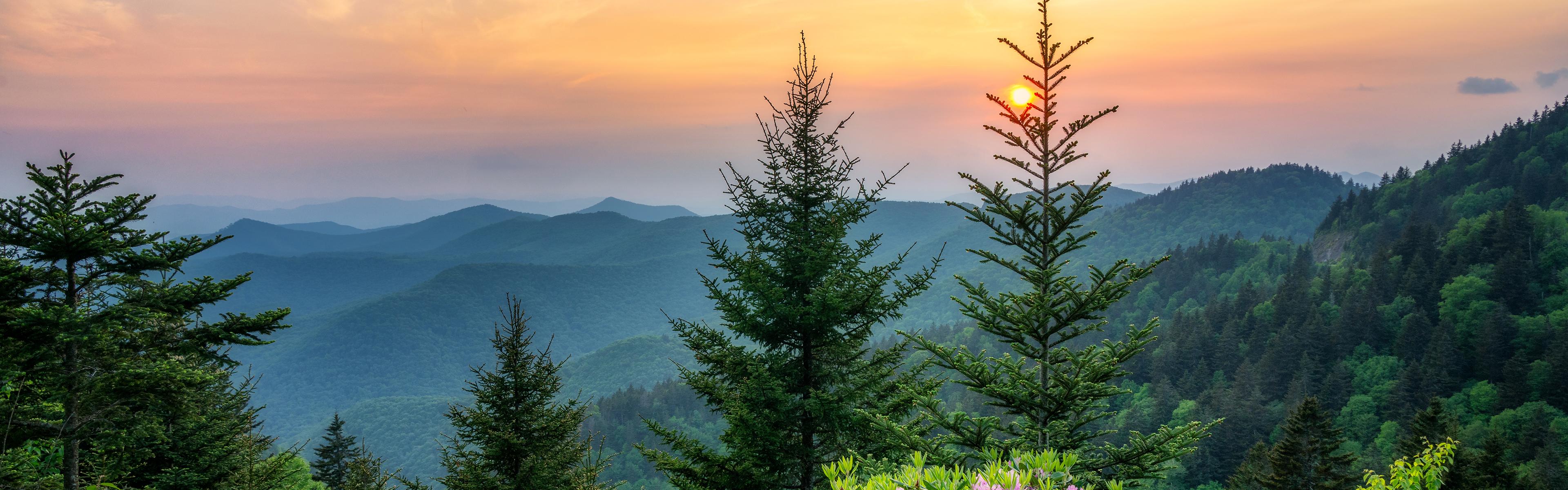 Summer sunset on the Blue Ridge Parkway in North Carolina, with trees in the foreground.