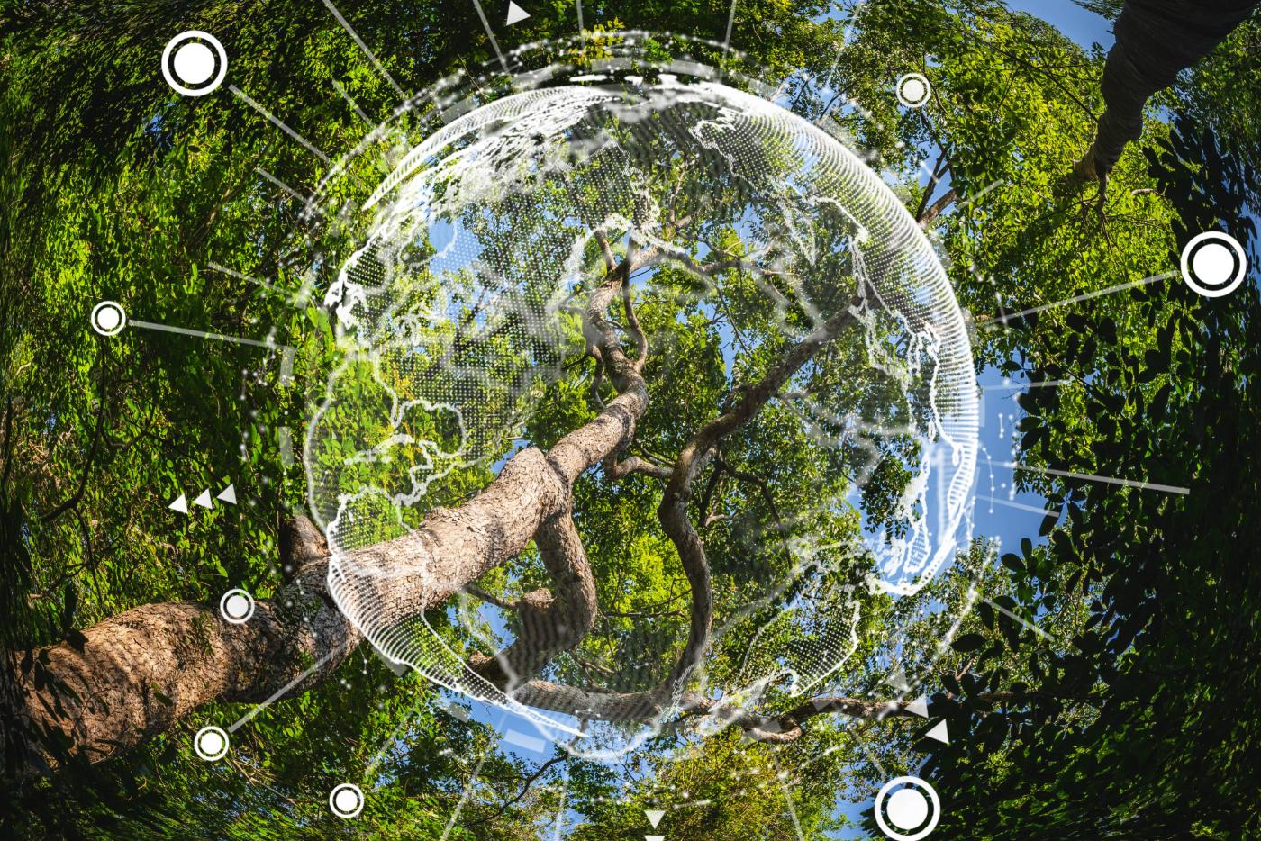 Earth Day concept with the outline of a globe and a natural forestation preservation scene in the background