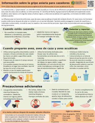 Avian Influenza Information for Hunters Infographic in Spanish