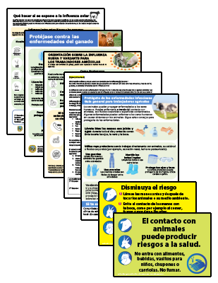 Preview image of Avian flu materials for fair exhibitors in Spanish