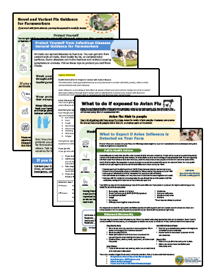 Preview image of avian flu toolkits for farmworkers in English