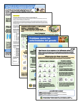 Preview image of Avian flu materials for farmworkers in Spanish