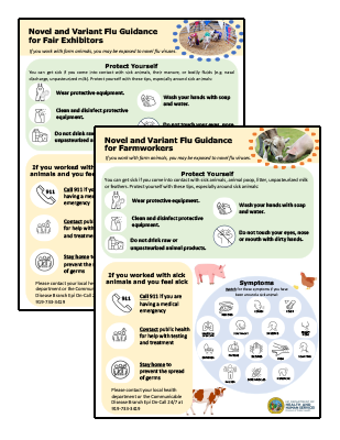 Preview image of novel and Variant Flu Guidance for farmworkers and fair exhibitors