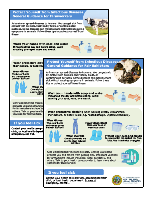 Preview image of Avian flu materials for farmworkers and fair exhibitors