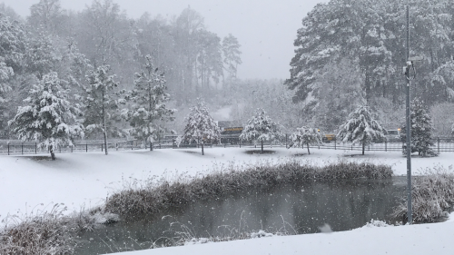 Snow covered landscape with an icy pond and trees covered in snow.