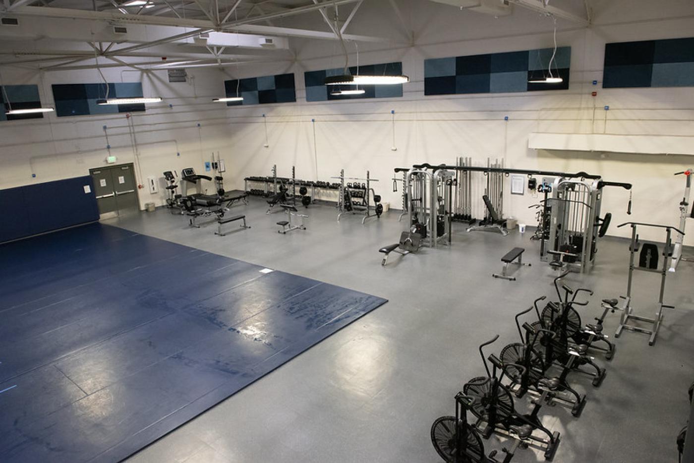 Large room that has several pieces of gym equipment, a blue mat and other workout machines/areas.