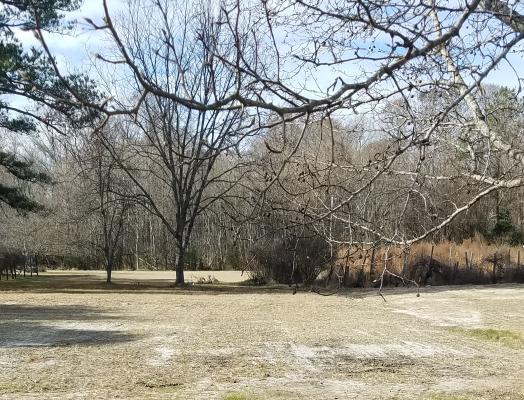This natural area is where a house once stood that had been repeatedly flooded.
