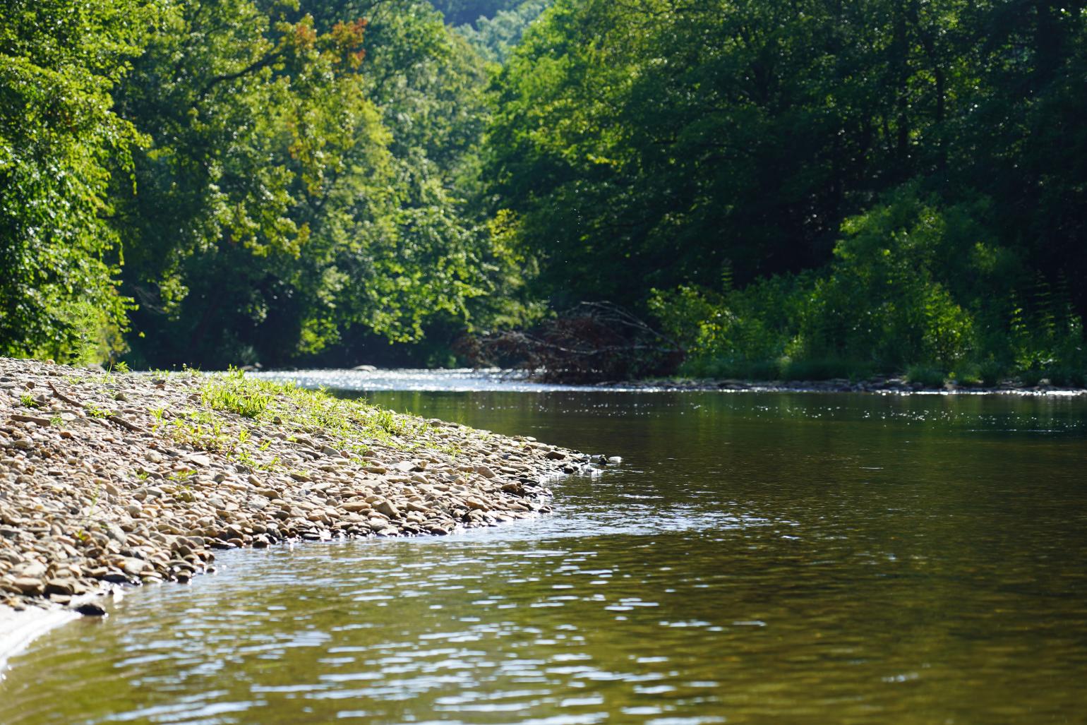 Upper French Broad River July 2025