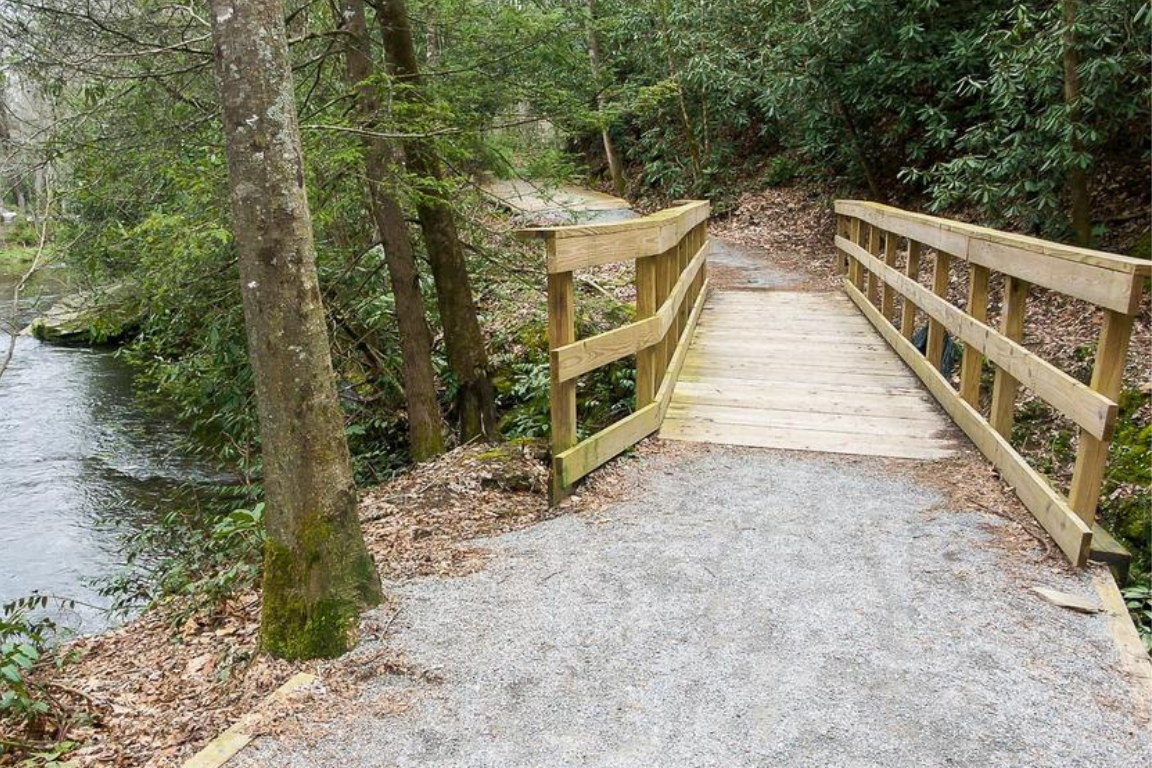 walking trail in western North Carolina