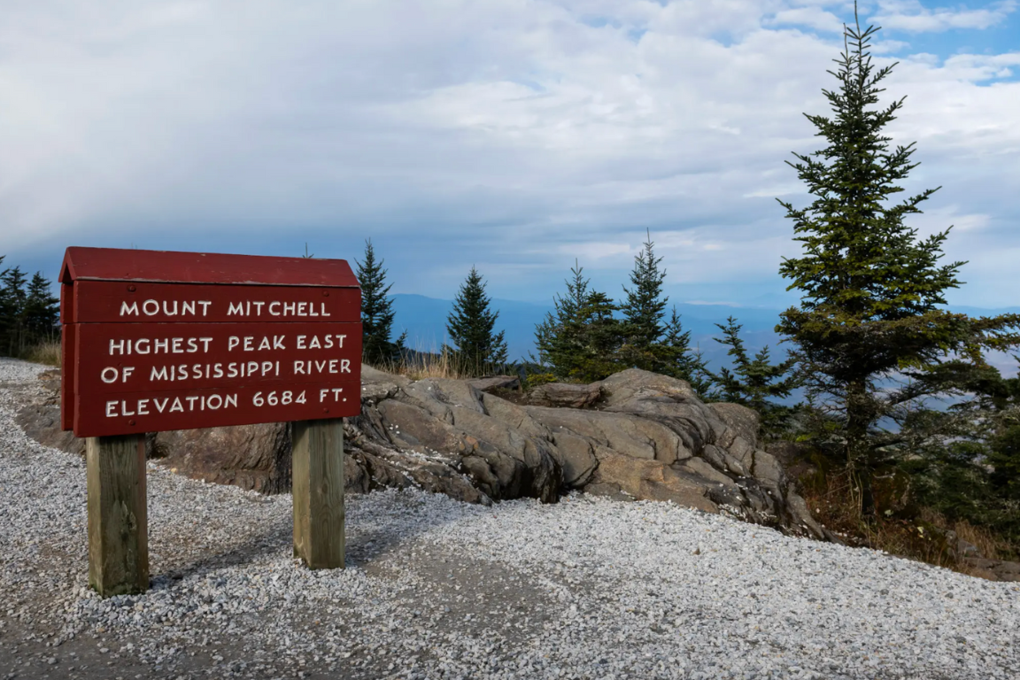 View from a mountain top with blue skies and evergreen trees