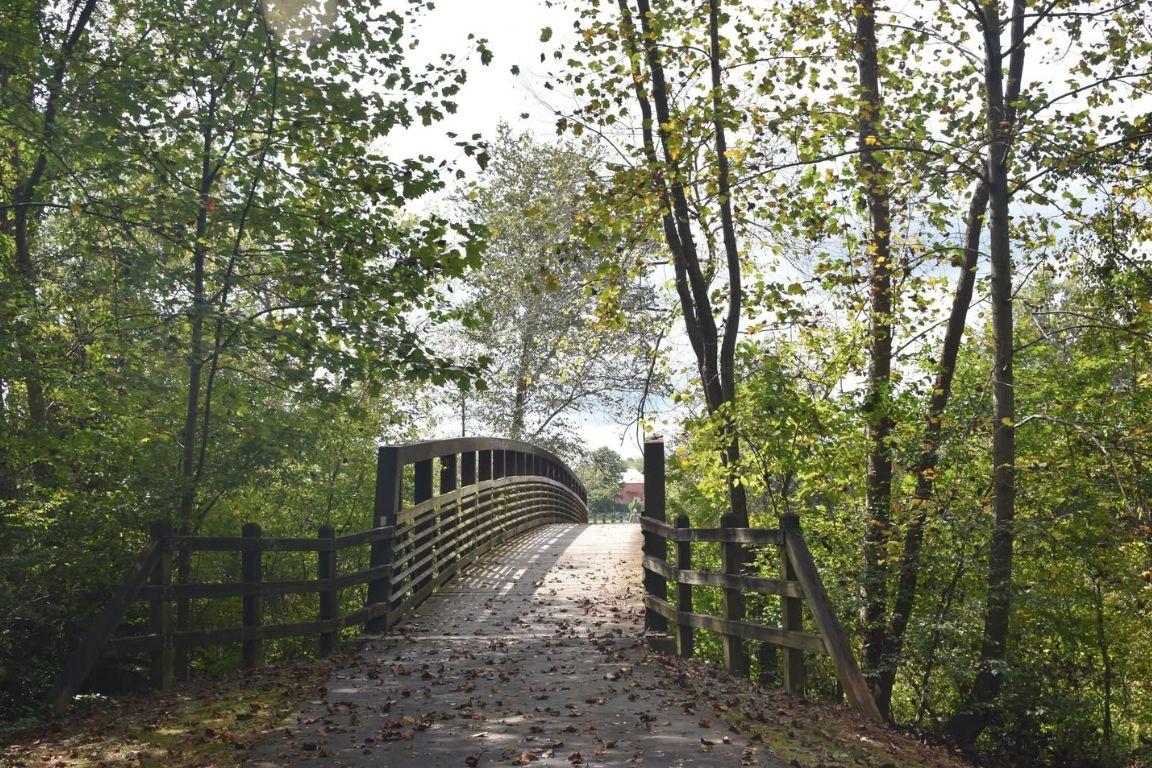 tree-lined bridge connecting town walkways