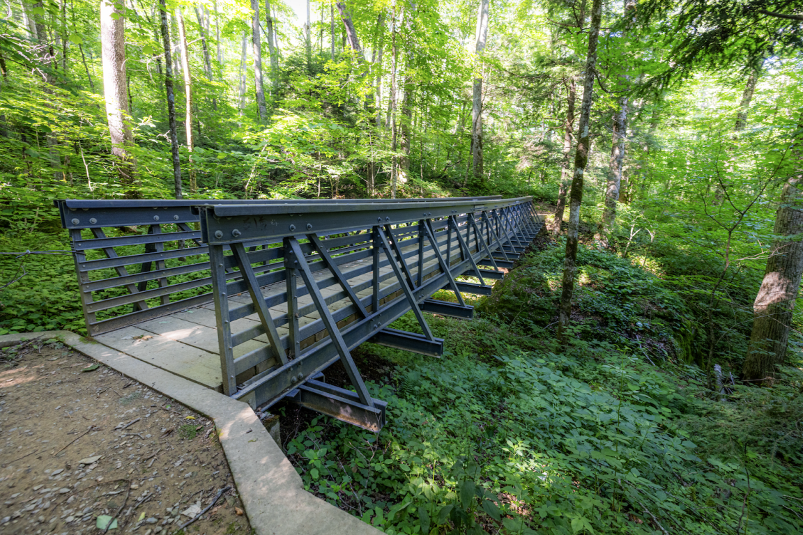 Bridge with gray handrails extends above mountainous ravene