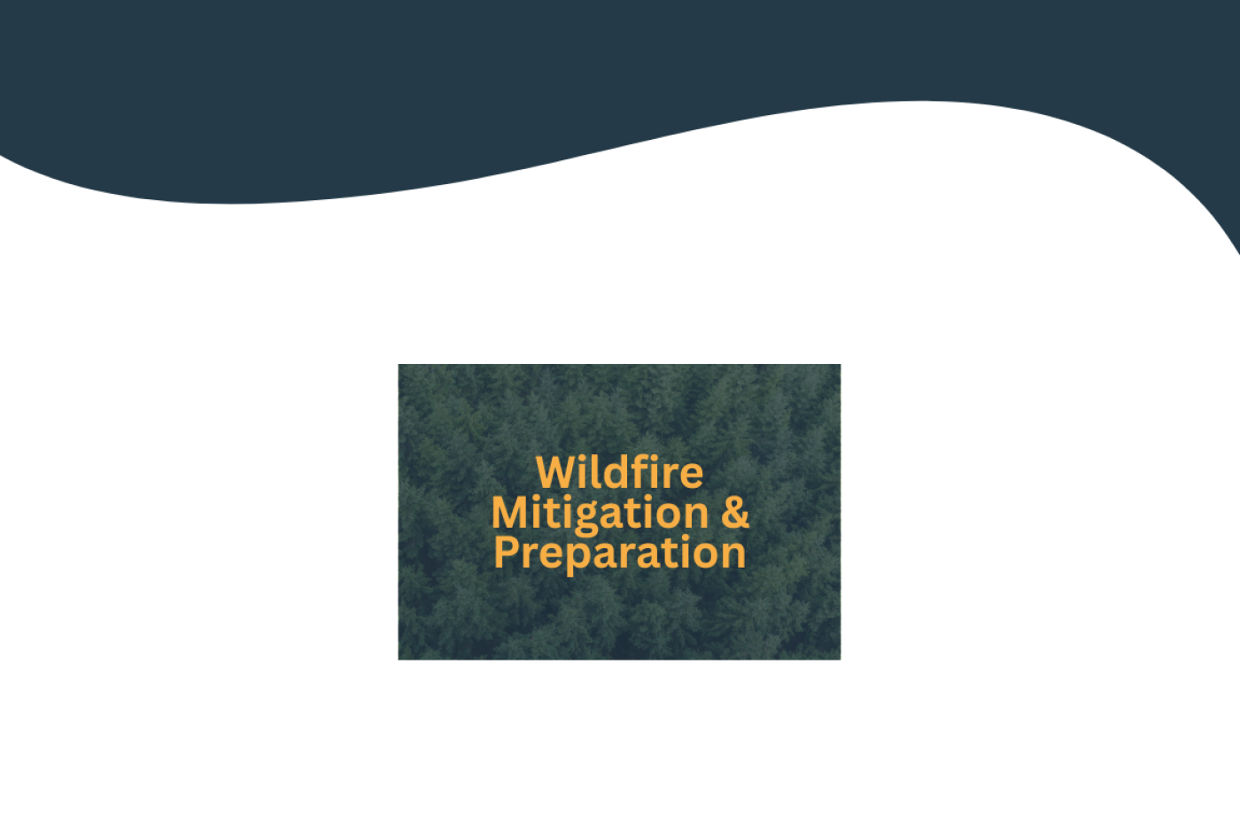 Treetop image representing wildfire risk