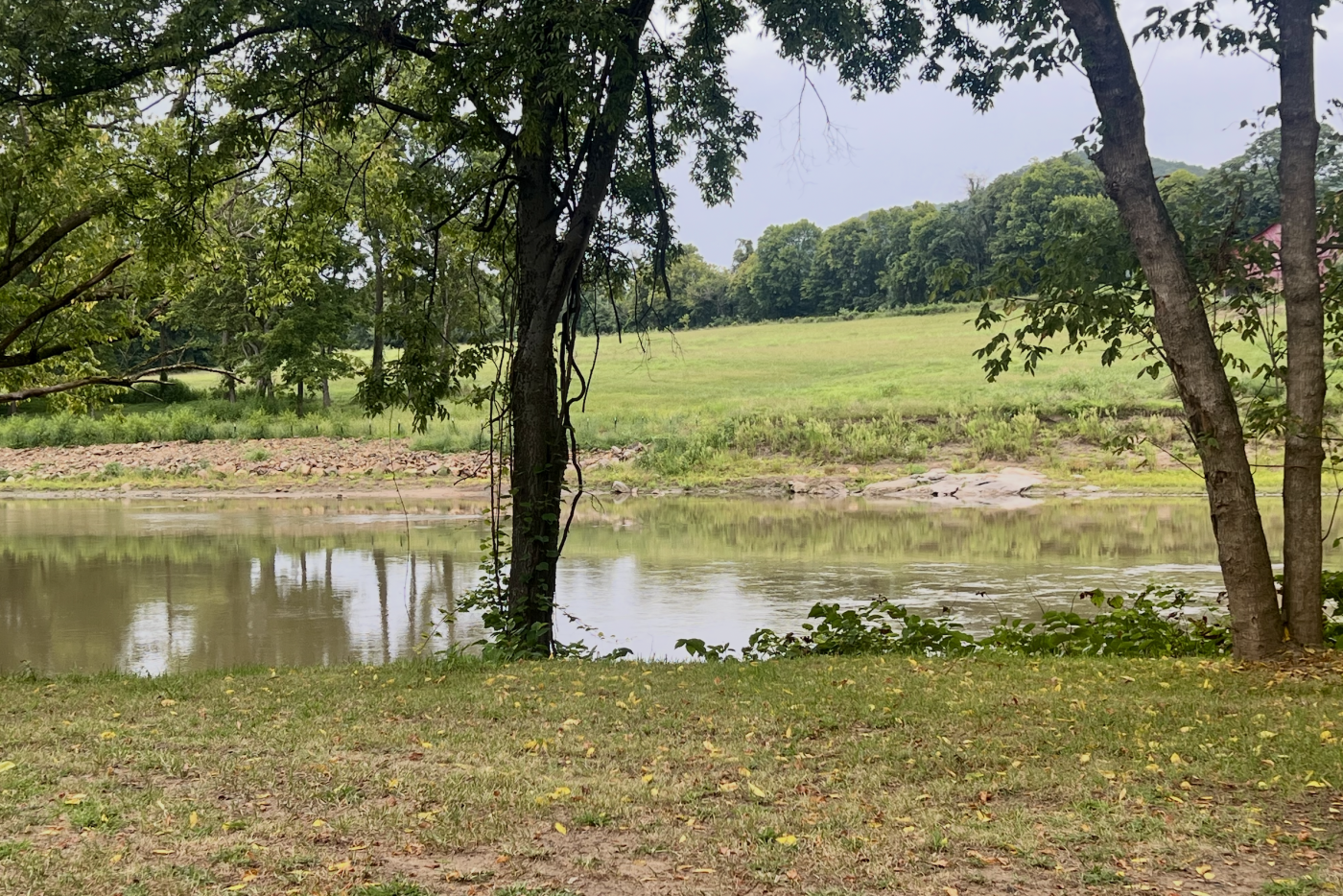 grassy land on both sides of a river with trees lining the banks