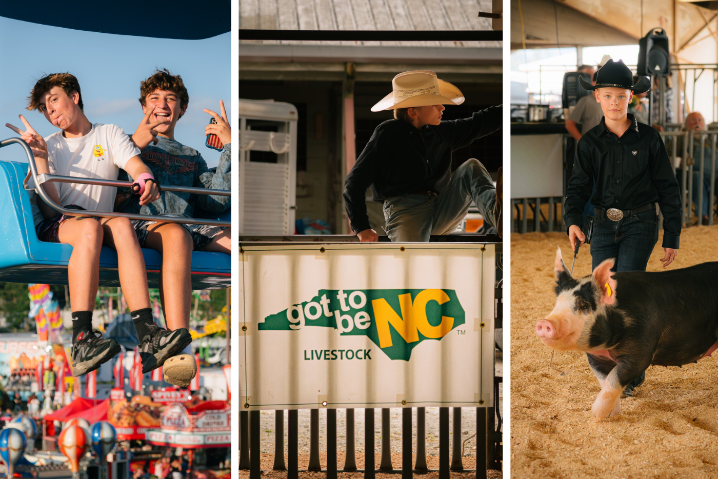 Three-photo collage of state fair images including two boys on a ride, one boy climbing a fence, and another boy with a pig on a leash