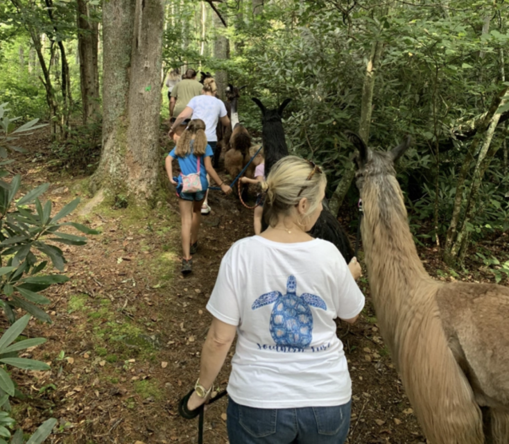 a tour group walks with llamas along a hiking path