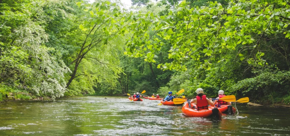 People floating in kayaks down a river surrounded by summer trees